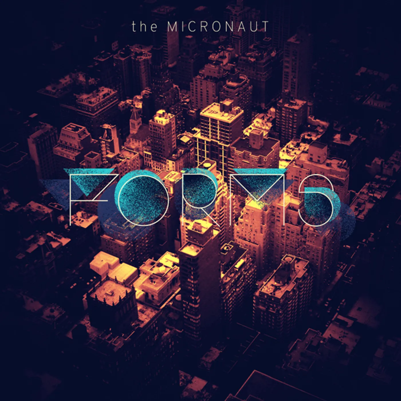 Micronaut Forms Vinyl Record