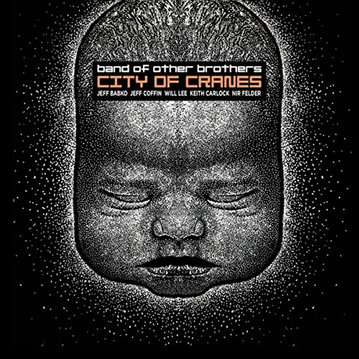 Band of Other Brothers CITY OF CRANES CD