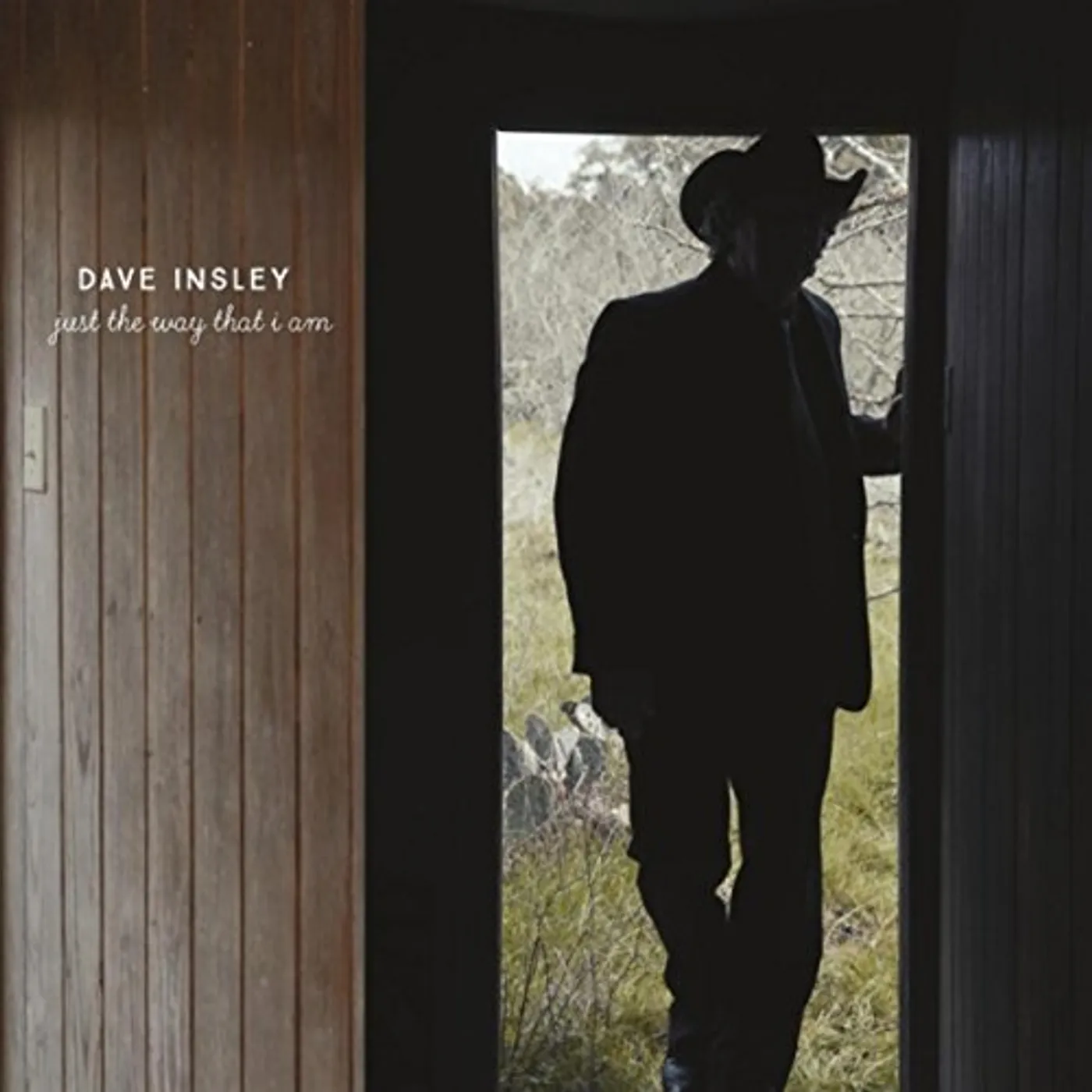 Dave Insley JUST THE WAY THAT I AM CD
