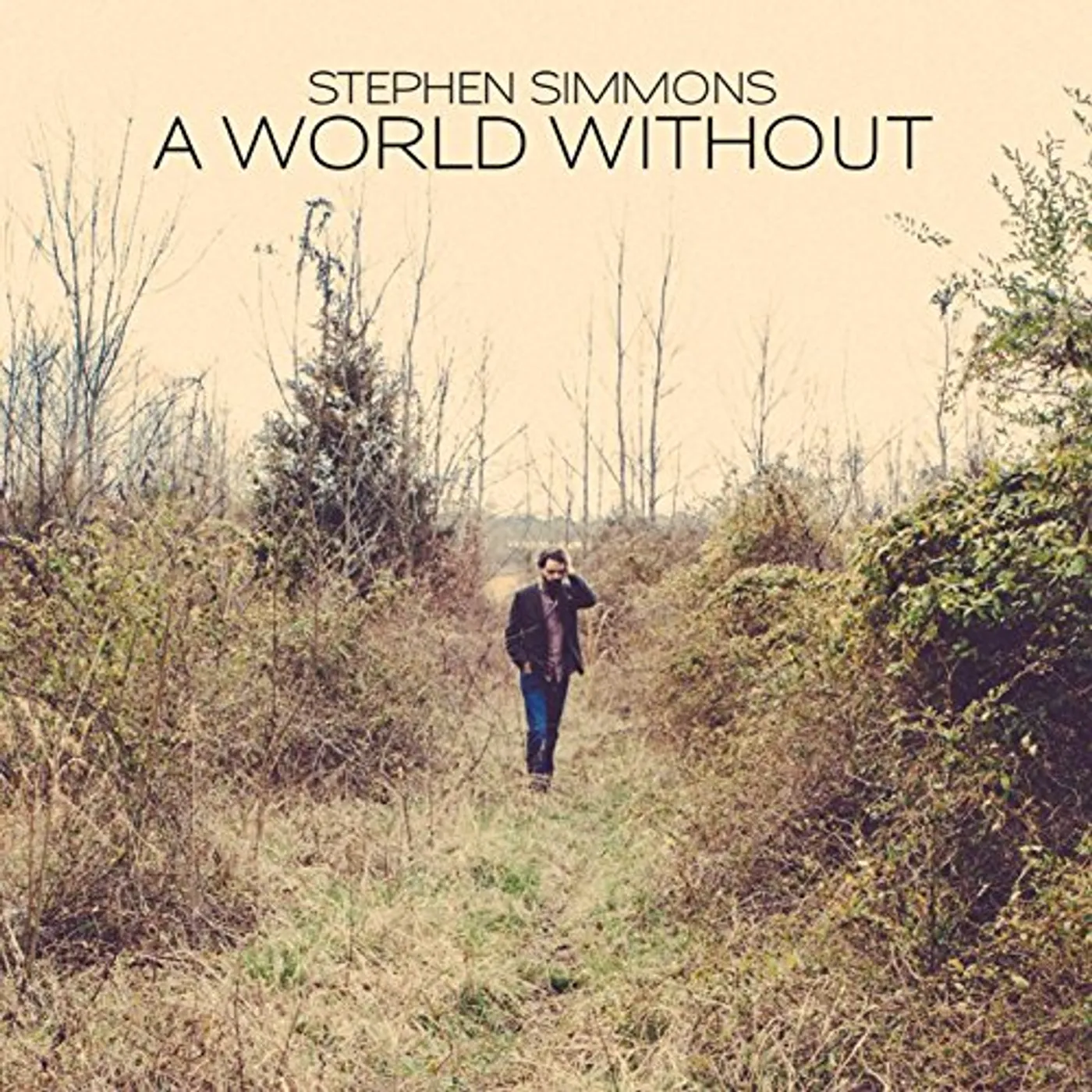 Stephen Simmons WORLD WITHOUT CD