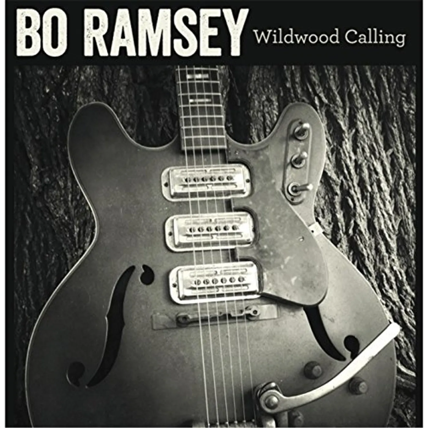 Bo Ramsey WILDWOOD CALLING CD