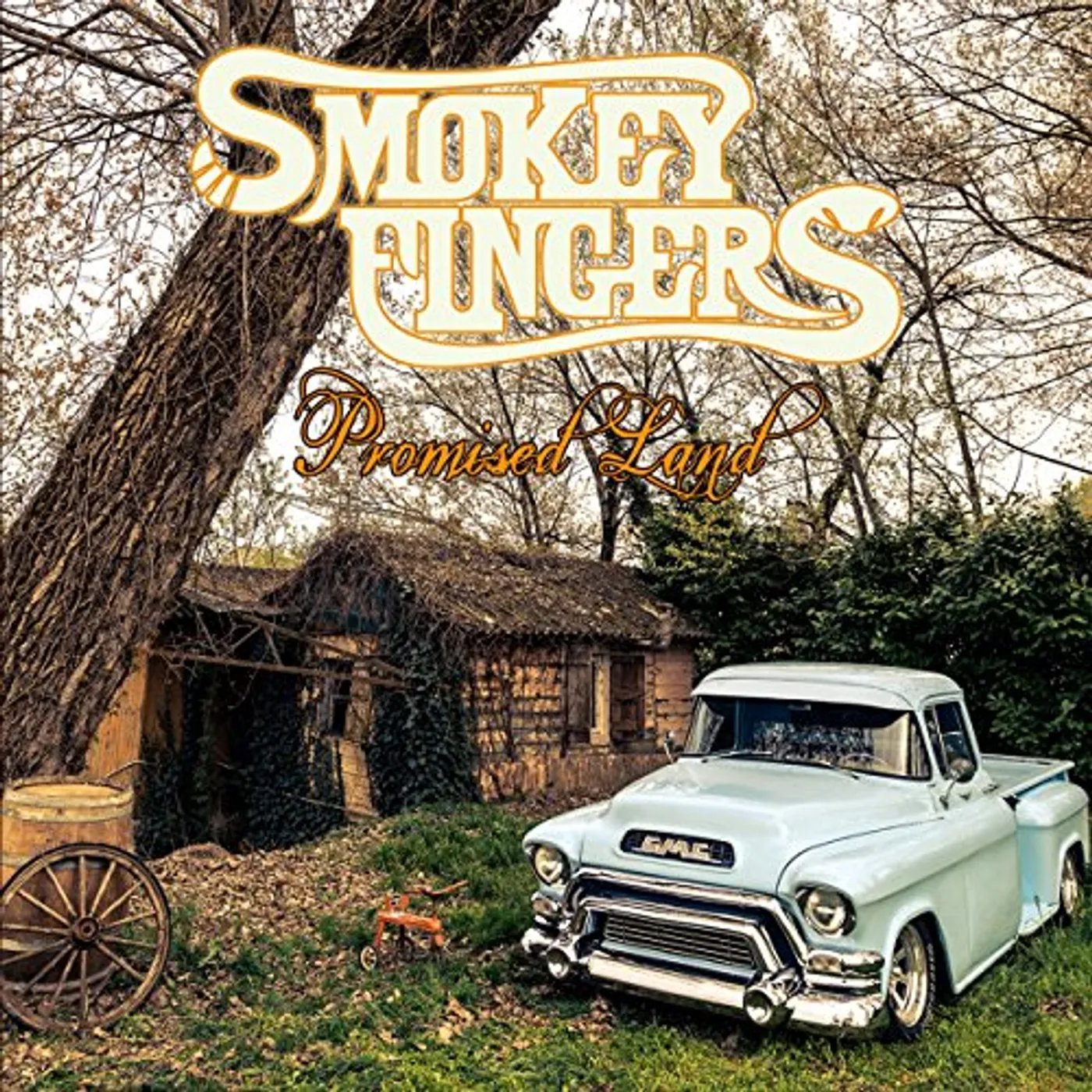 Smokey Fingers PROMISED LAND CD
