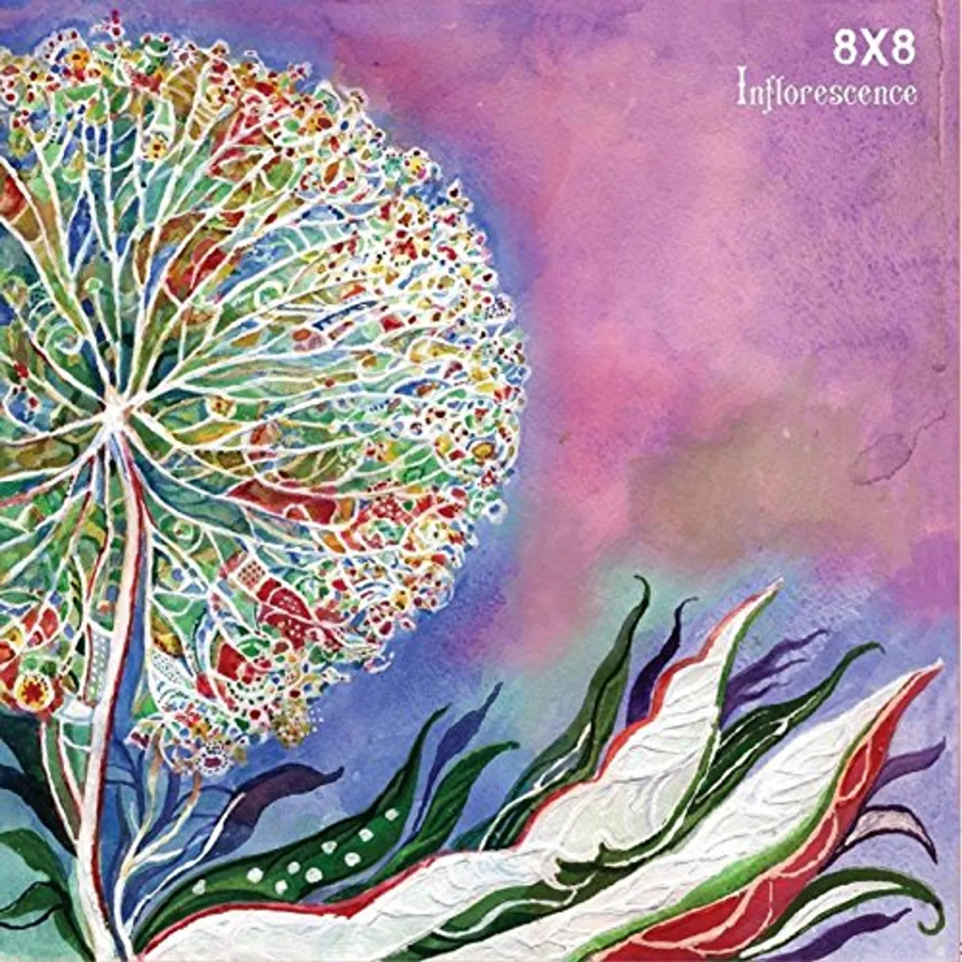 8X8 INFLORESCENCE CD