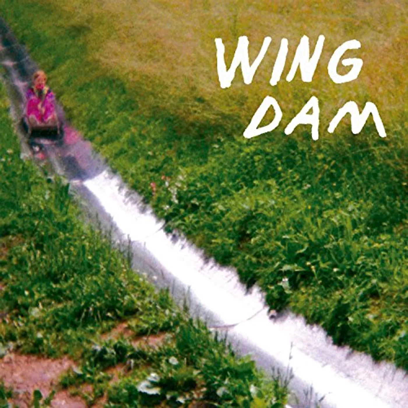 Wing Dam Glow Ahead Vinyl Record