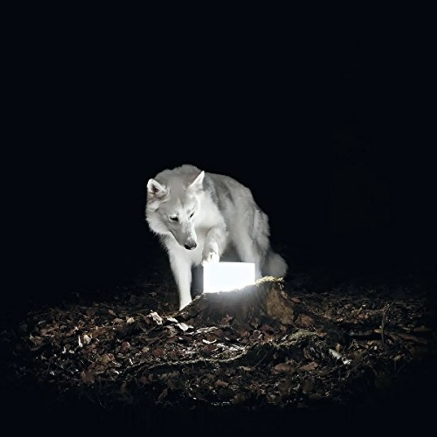 Vanishing Life Surveillance Vinyl Record