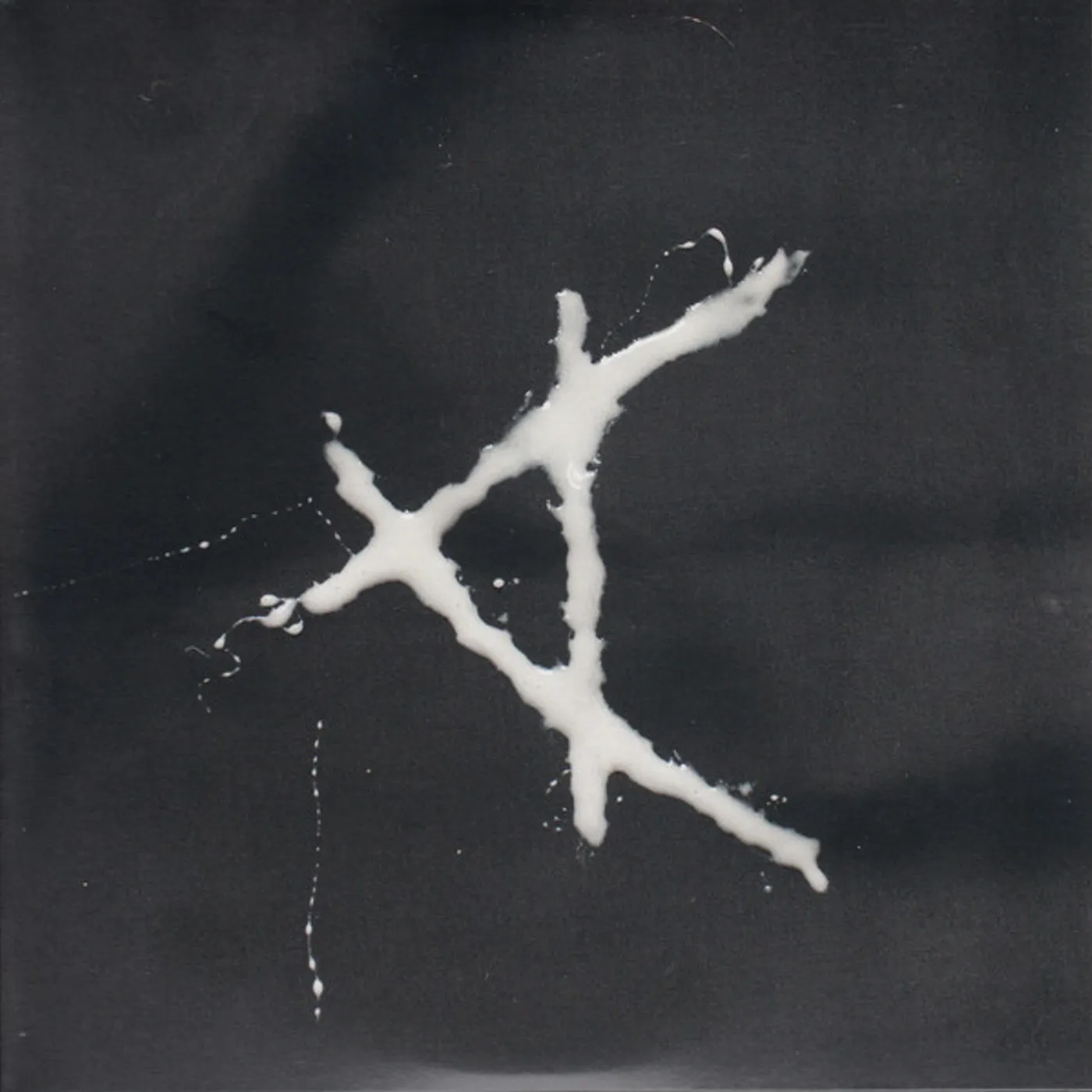 Cassels Flock Analogy Vinyl Record