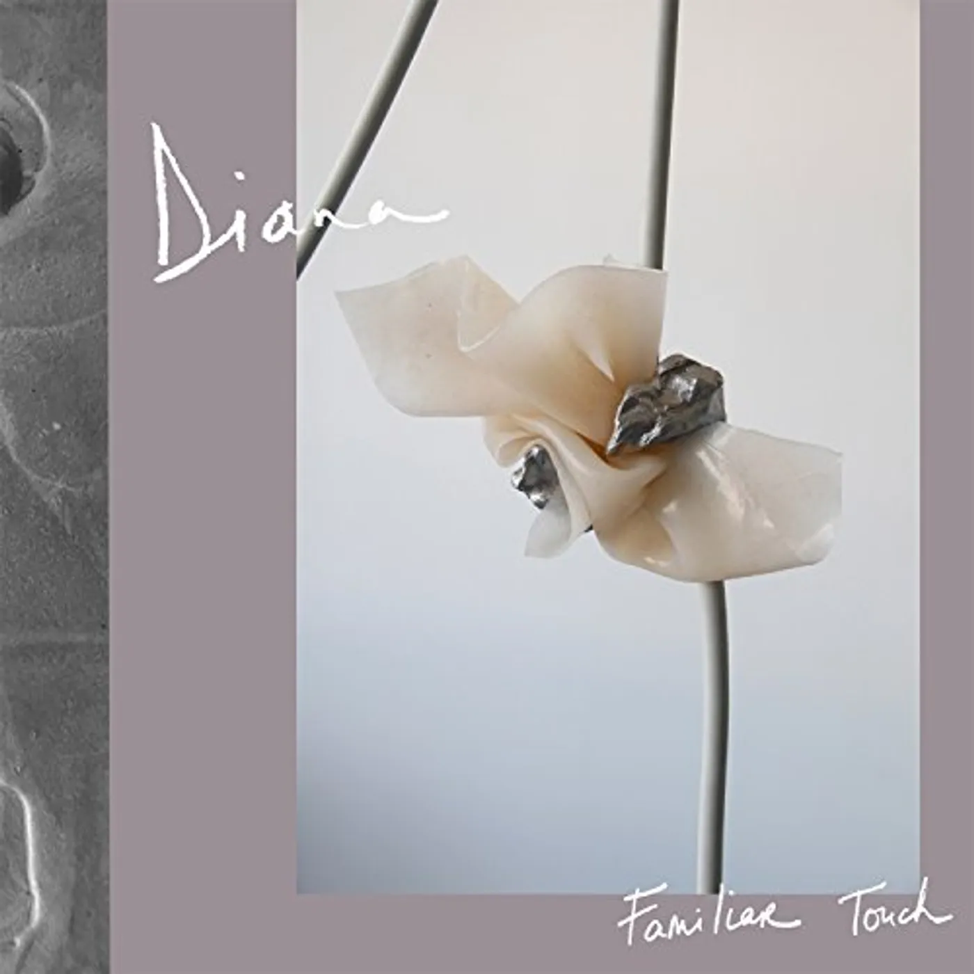 DIANA FAMILIAR TOUCH CD