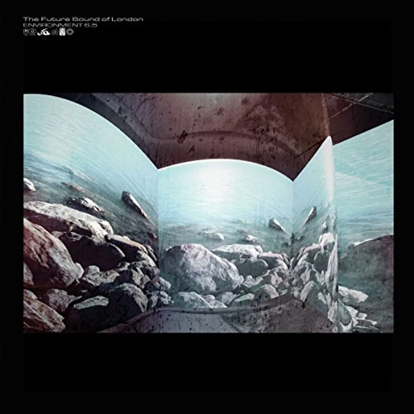 The Future Sound Of London ENVIRONMENT 6.5 CD
