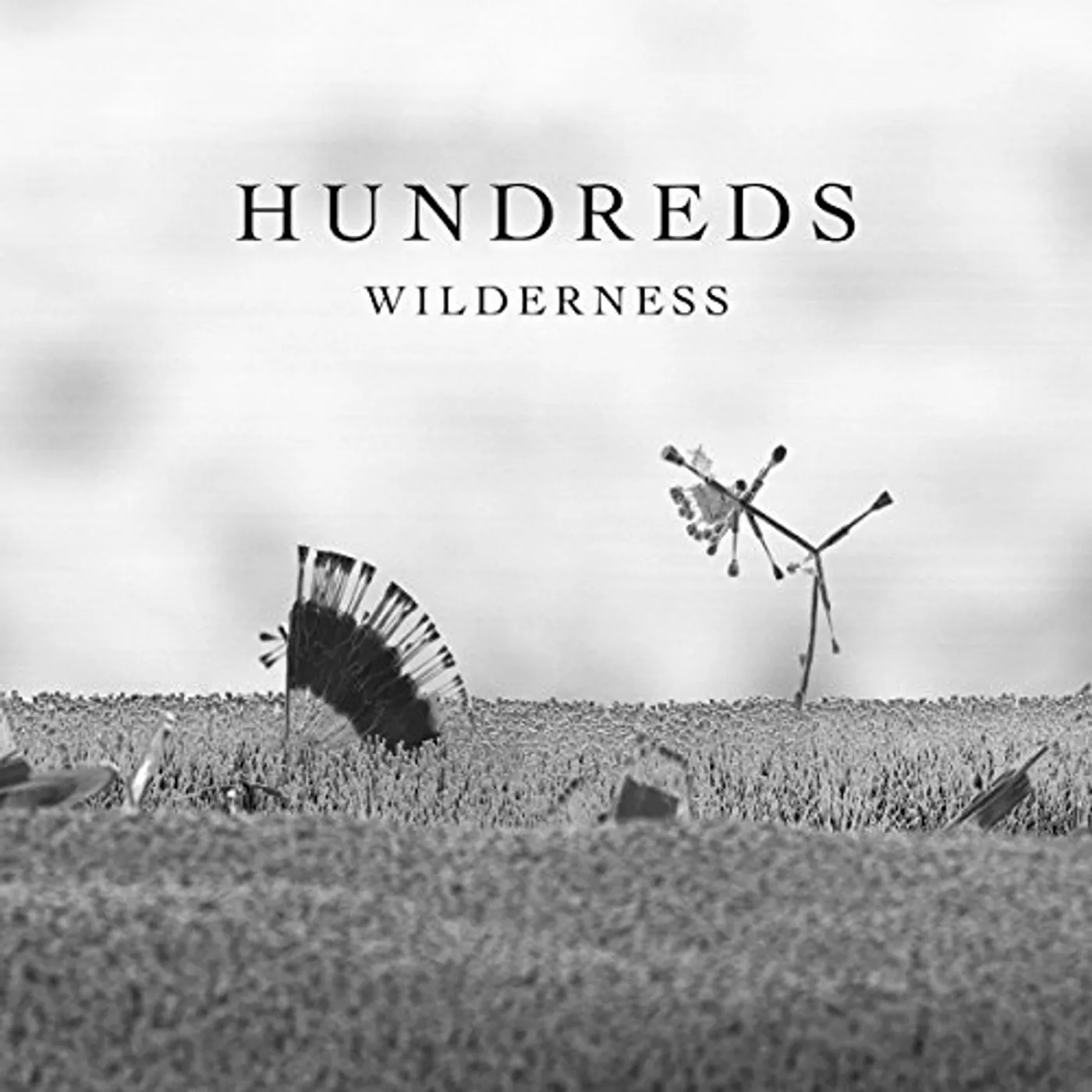 Hundreds WILDERNESS CD