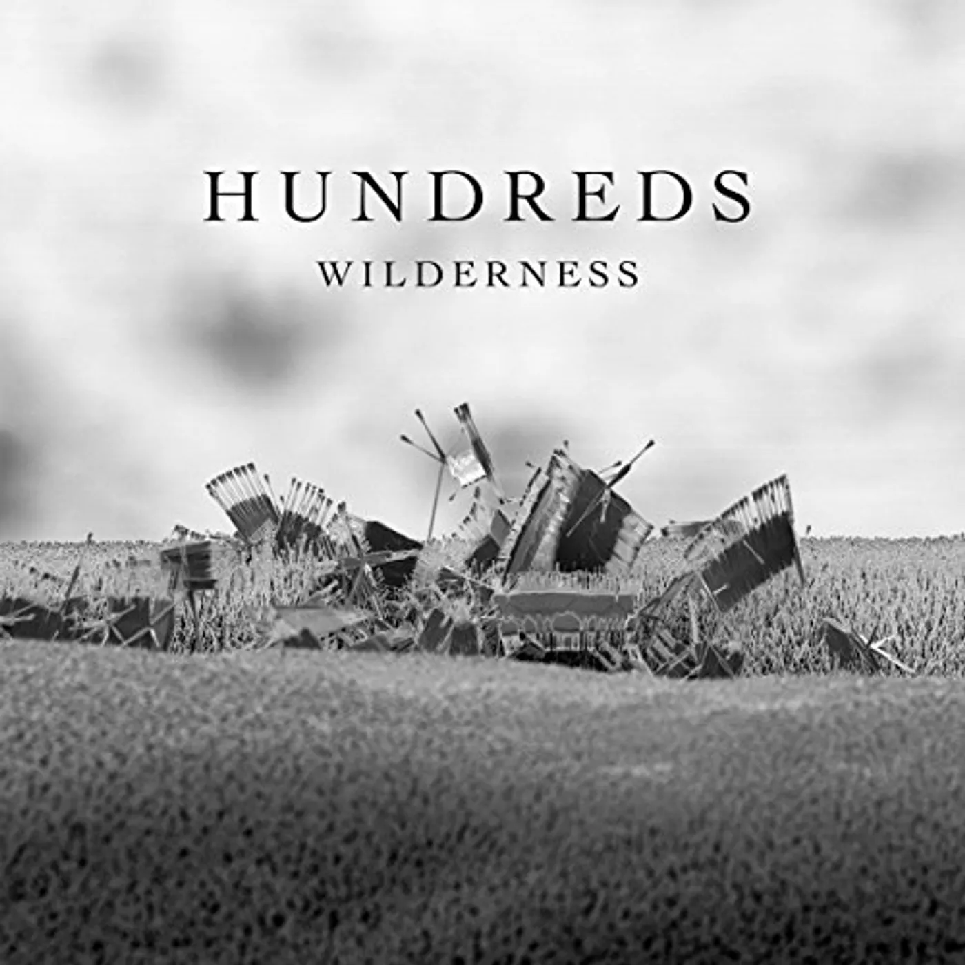 Hundreds Wilderness Vinyl Record
