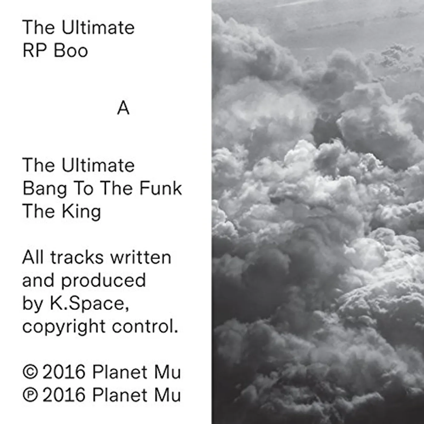 RP Boo ULTIMATE Vinyl Record