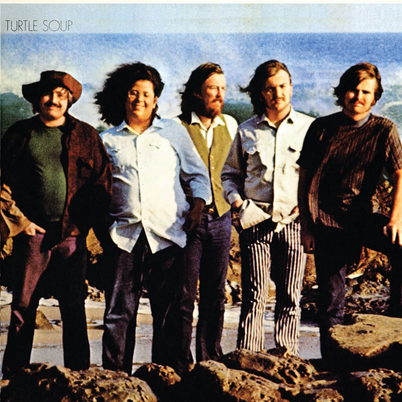 The Turtles TURTLE SOUP CD