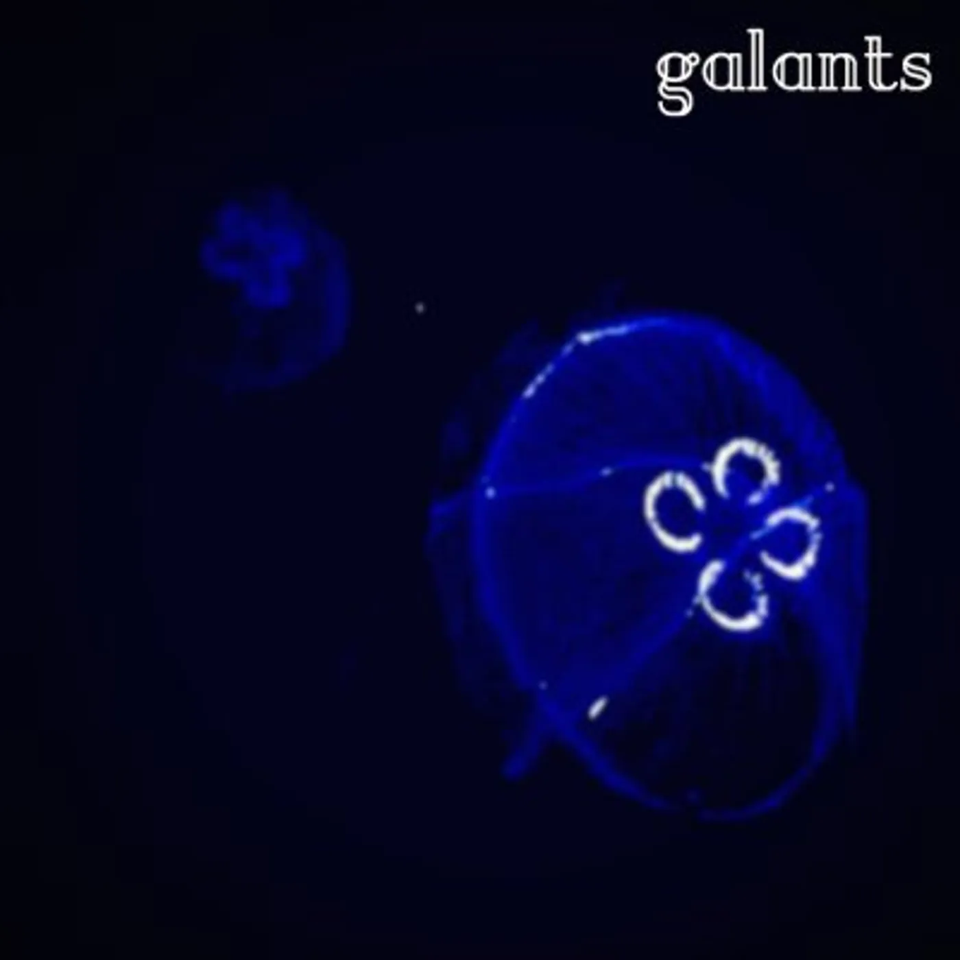 GALANTS CD