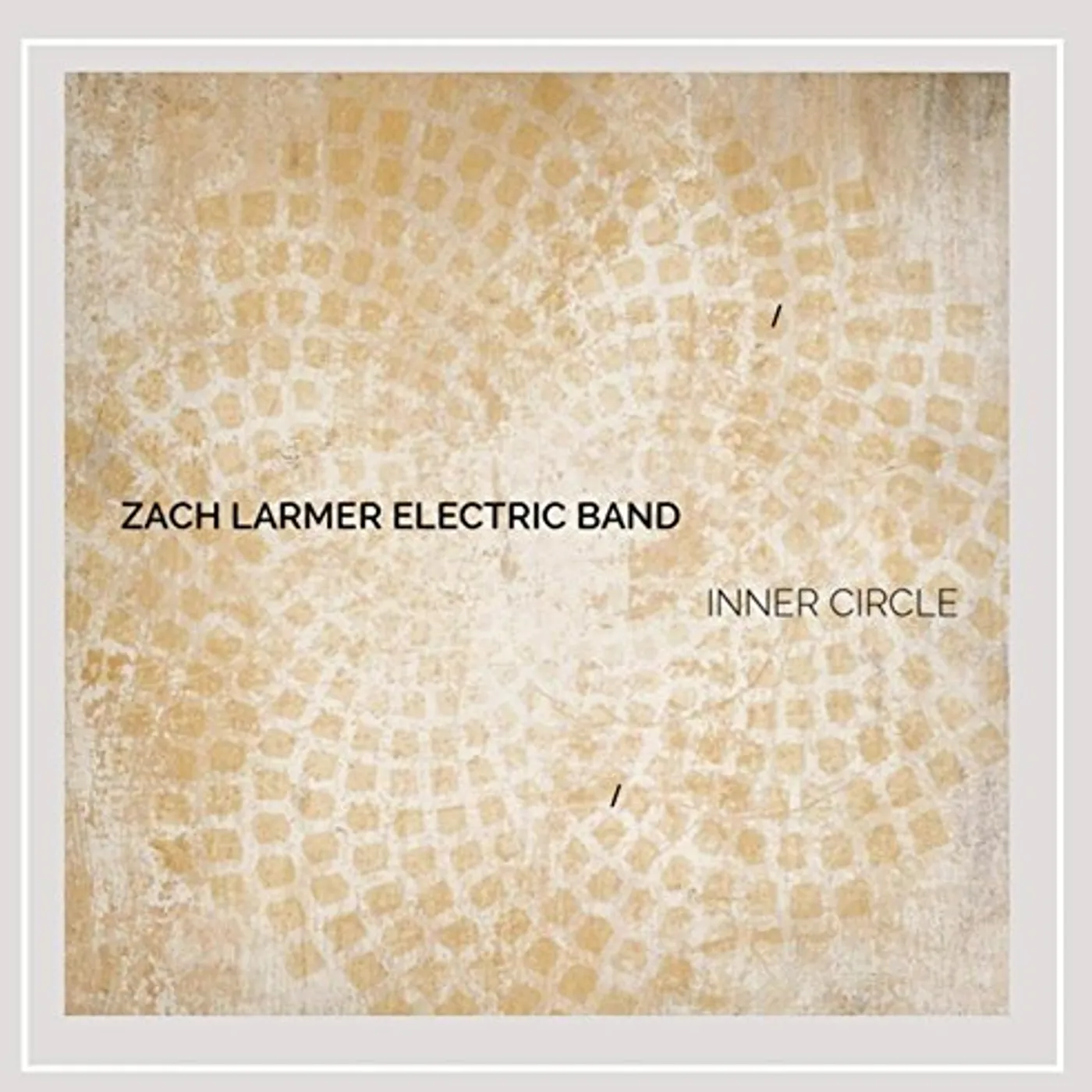 Zach Larmer Electric Band INNER CIRCLE CD