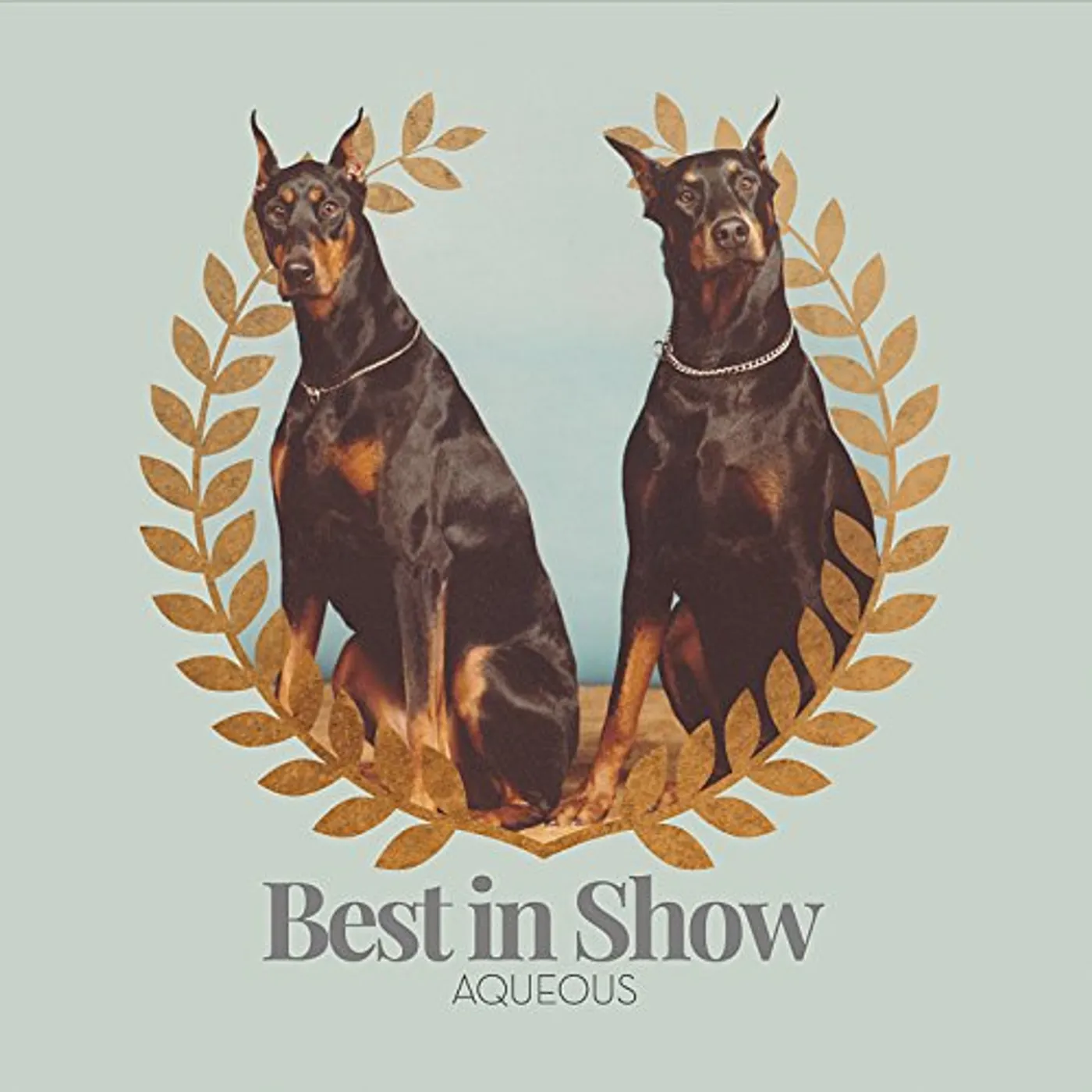 Aqueous BEST IN SHOW CD