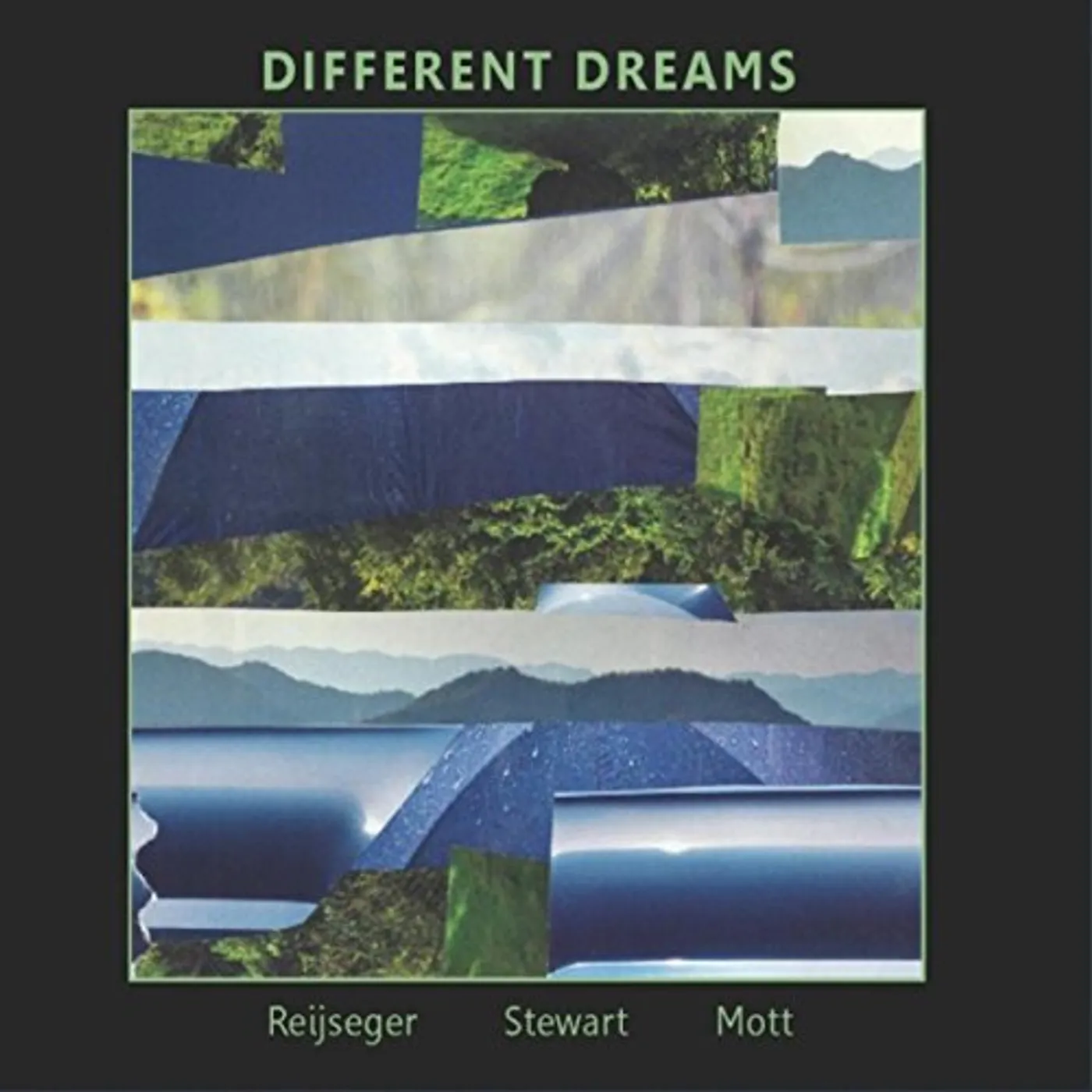 Ernst Reijseger DIFFERENT DREAMS CD