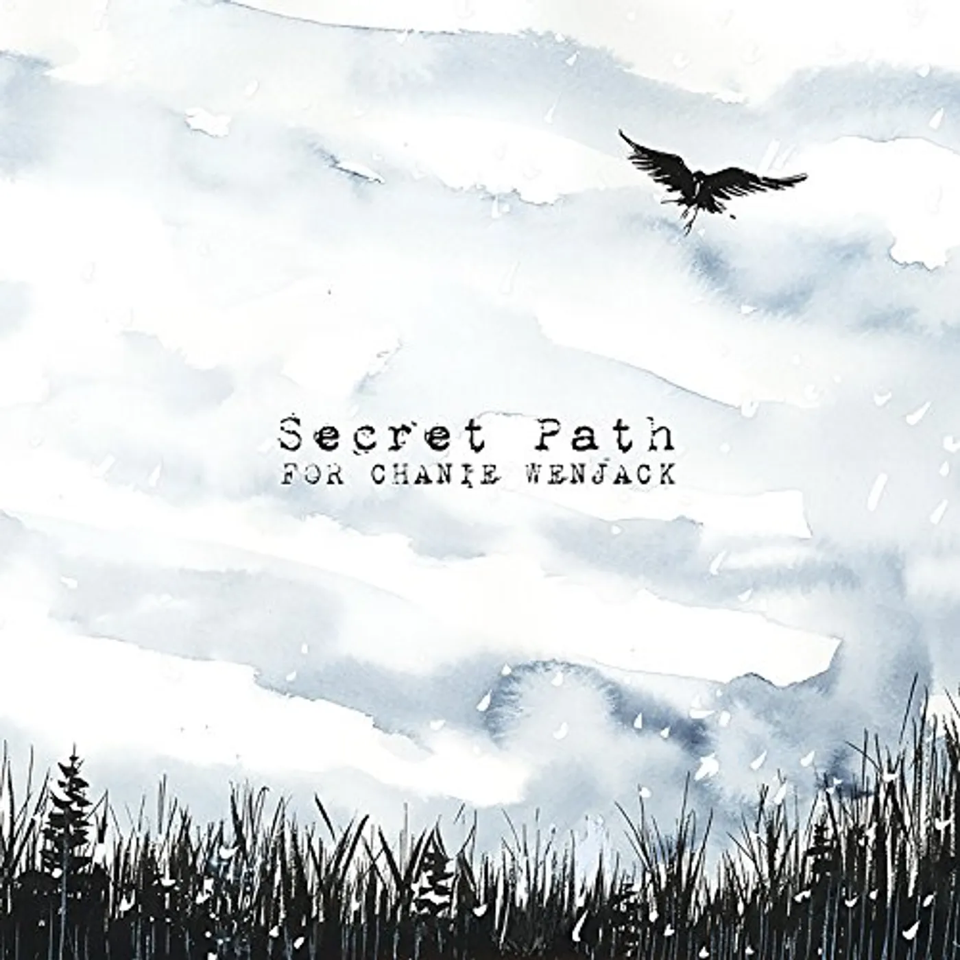 Gord Downie SECRET PATH CD