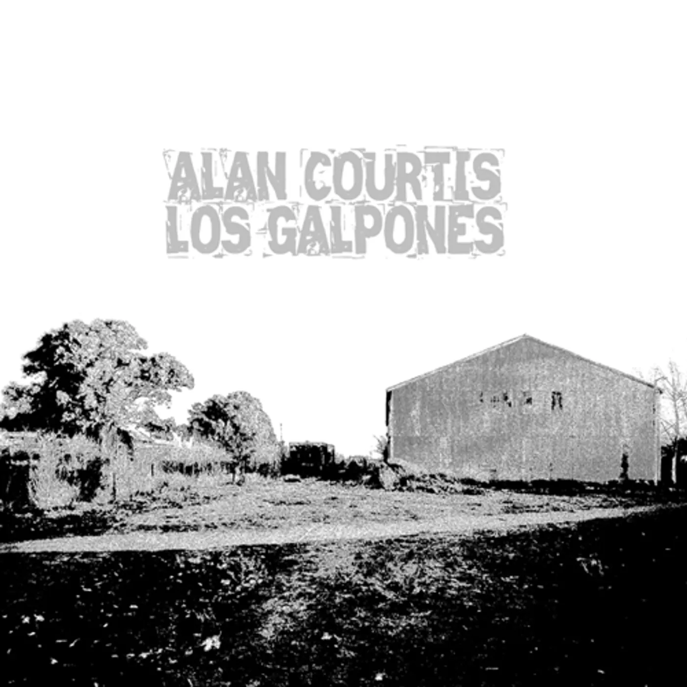 Alan Courtis Los Galpones Vinyl Record