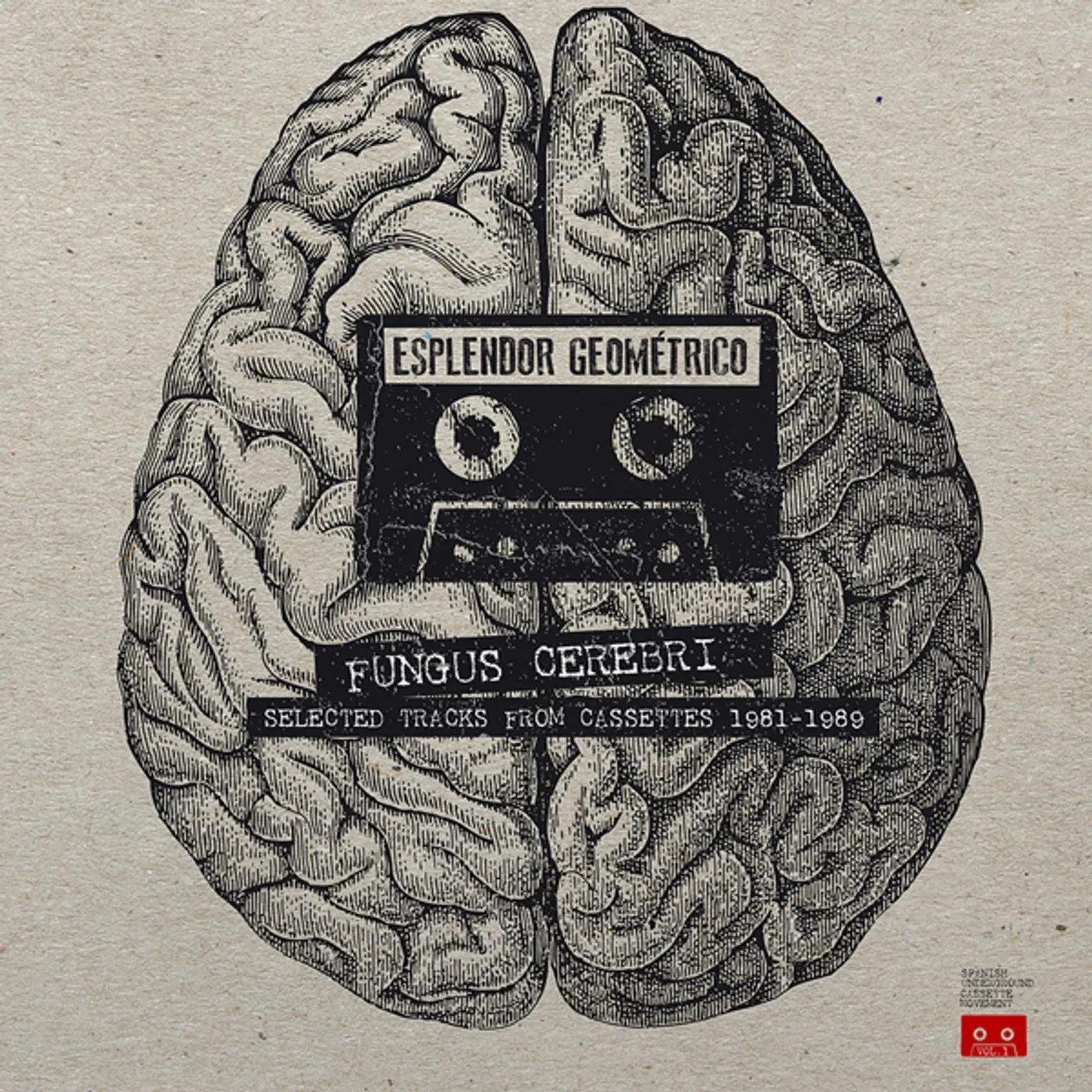 Esplendor Geométrico FUNGUS CEREBRI: SELECTED TRACKS FROM CASSETTES Vinyl Record