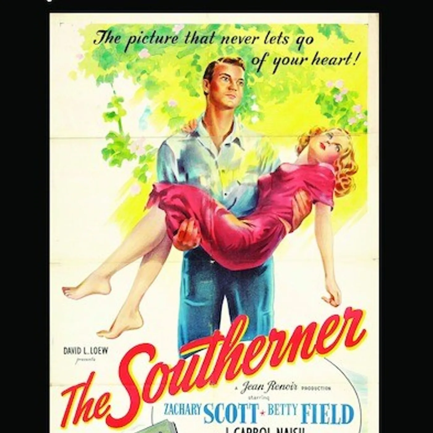 SOUTHERNER DVD