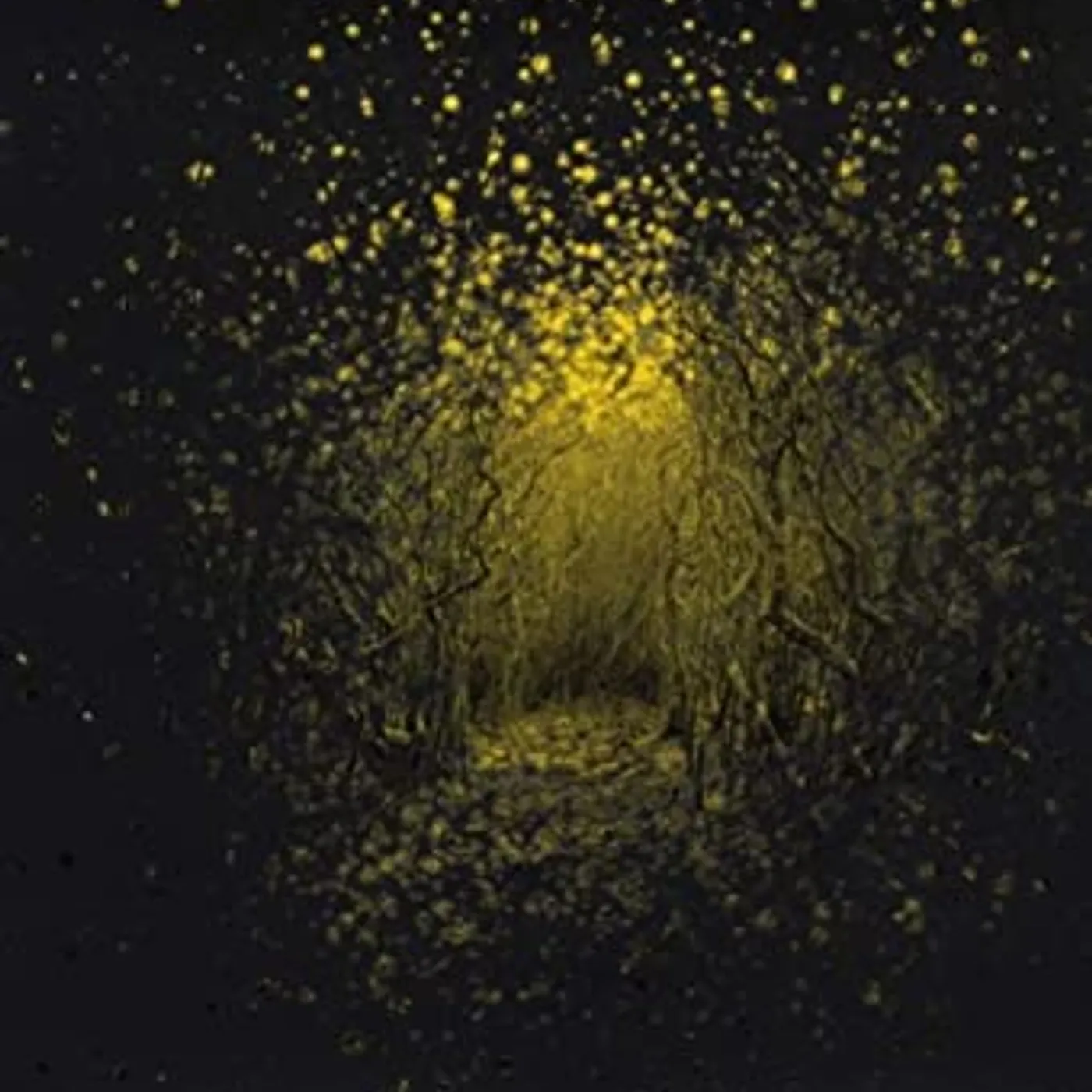 Antlers BURST APART Vinyl Record - UK Release