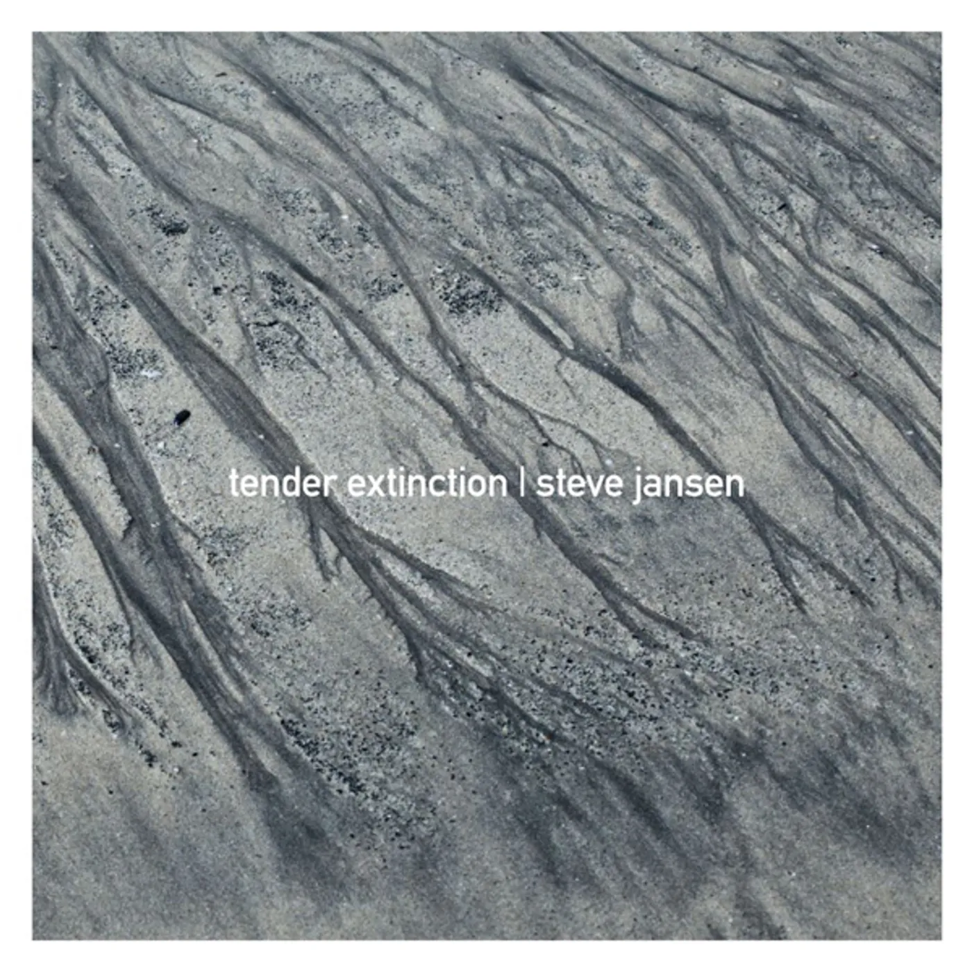 Steve Jansen TENDER EXTINCTION CD