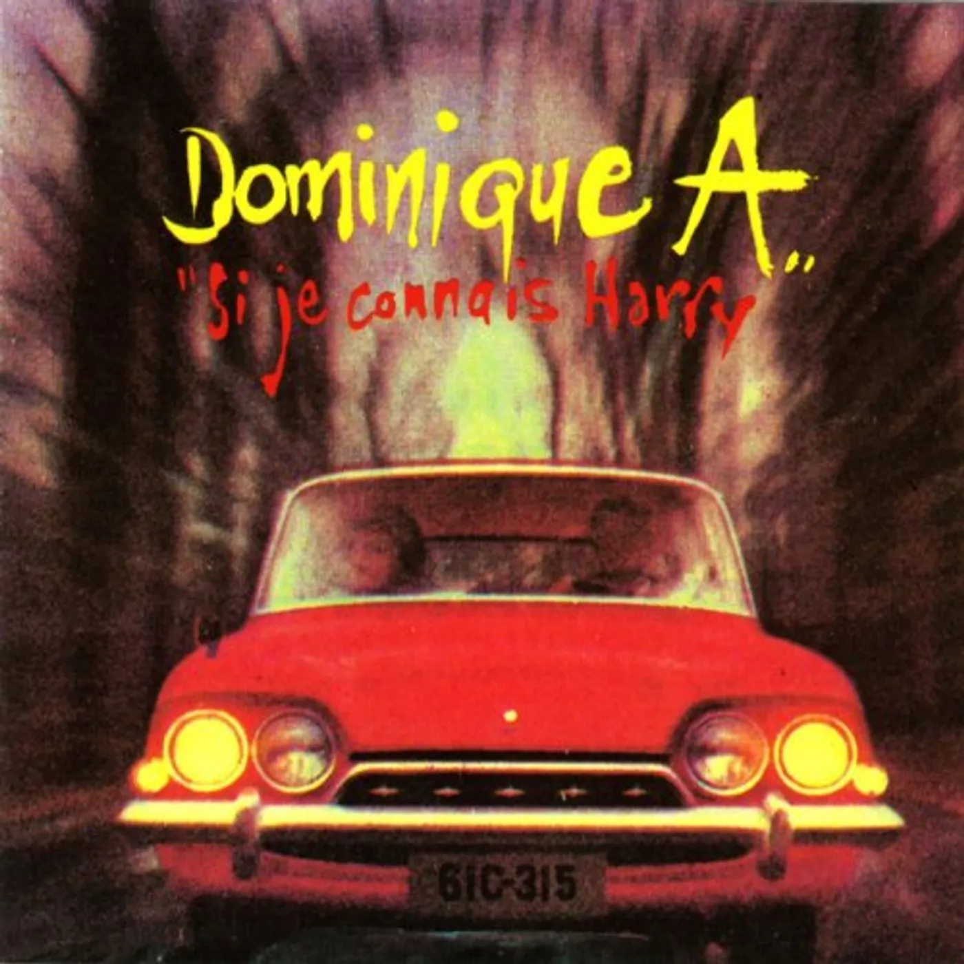 Dominique A Si Je Connais Harry Vinyl Record