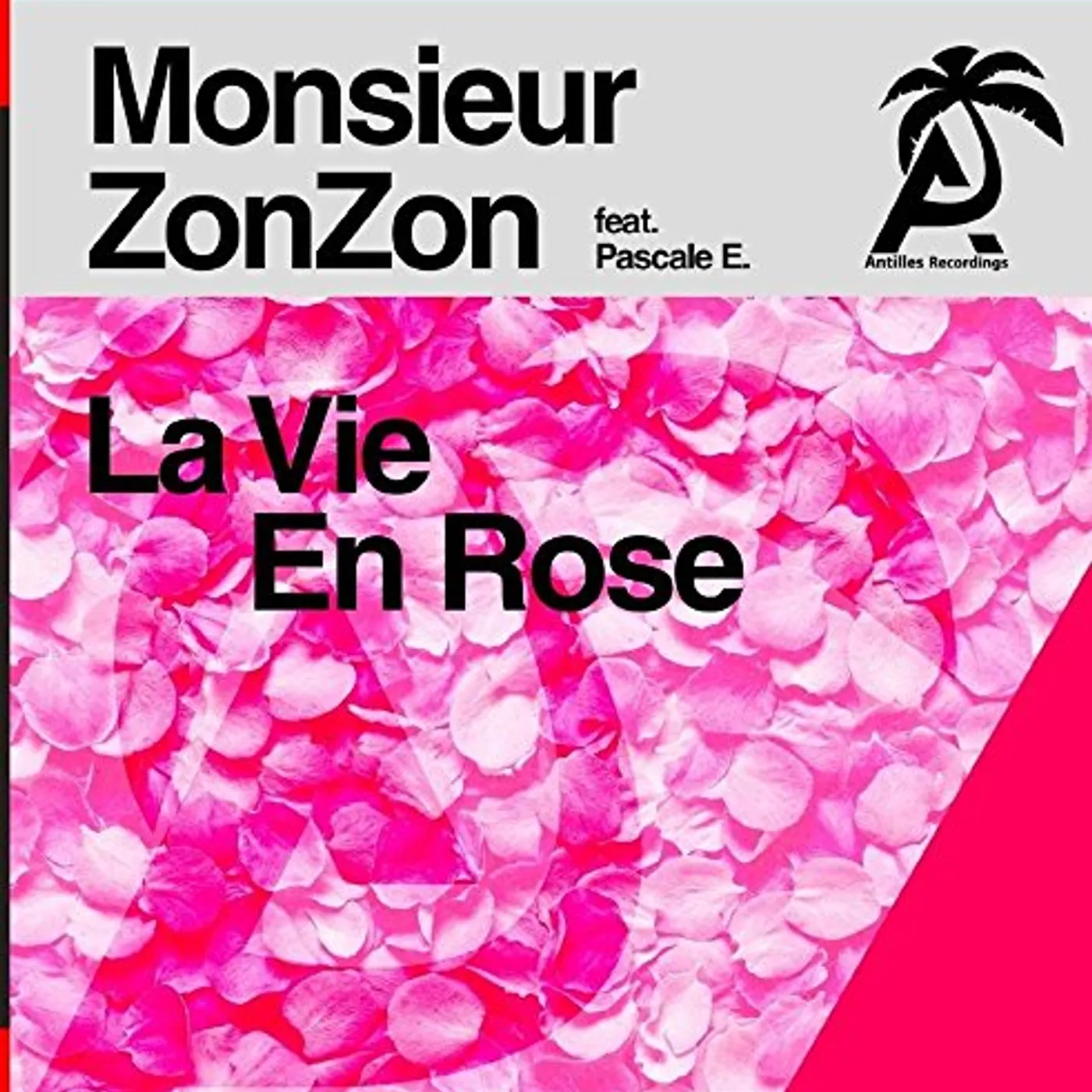 Monsieur ZonZon LA VIE EN ROSE CD