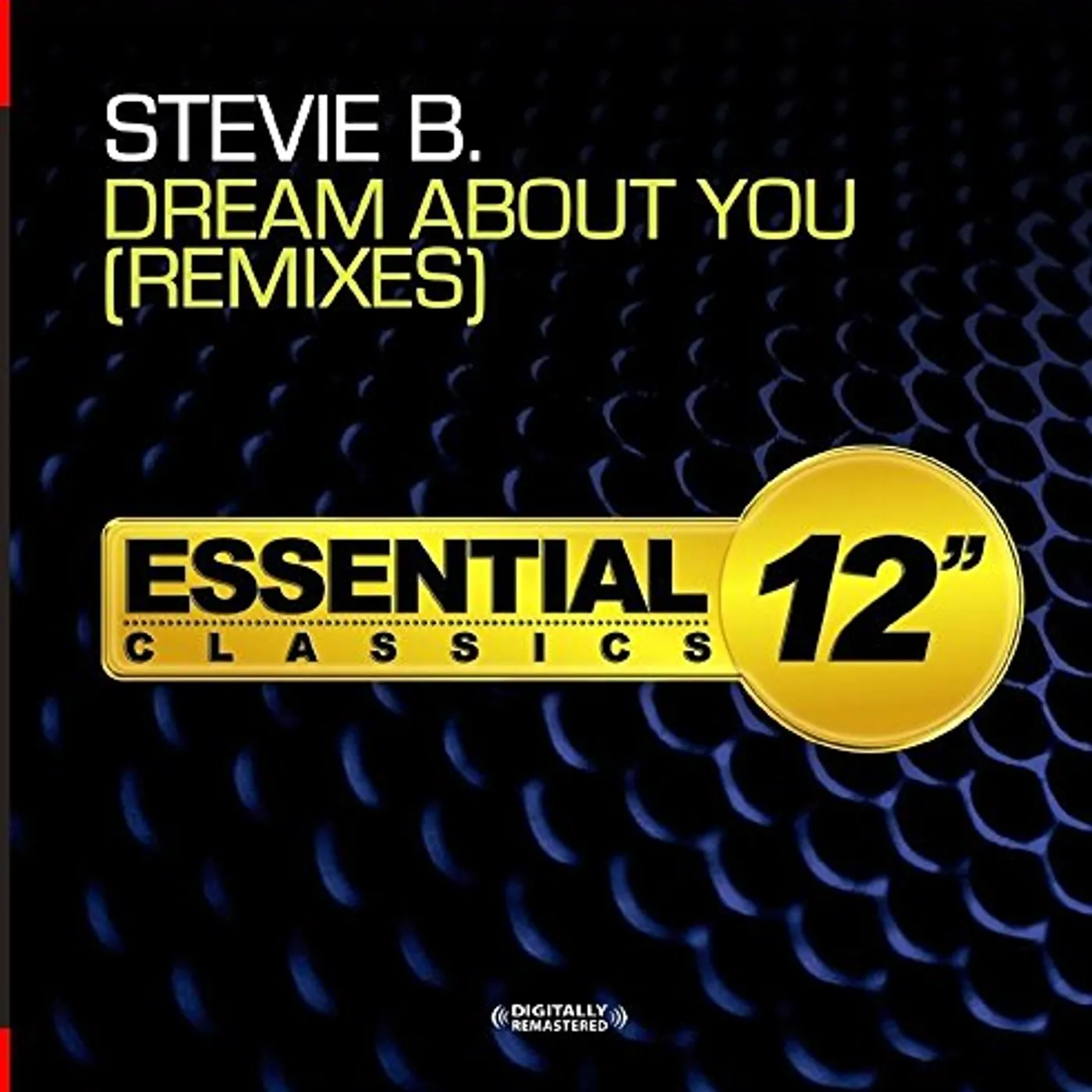 Stevie B DREAM ABOUT YOU - REMIXES CD