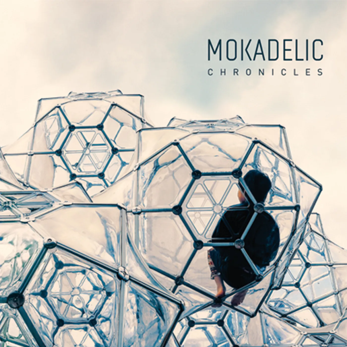 Mokadelic CHRONICLES CD