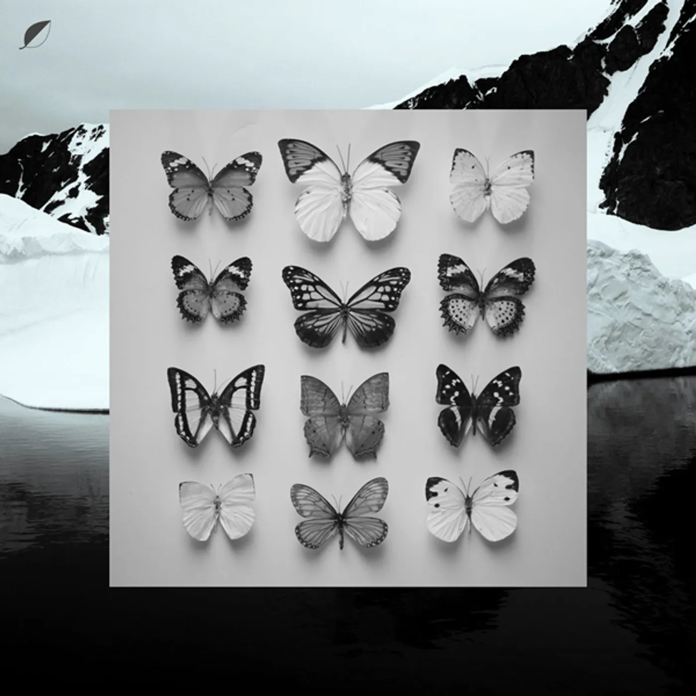 Christian Löffler Young Alaska Vinyl Record