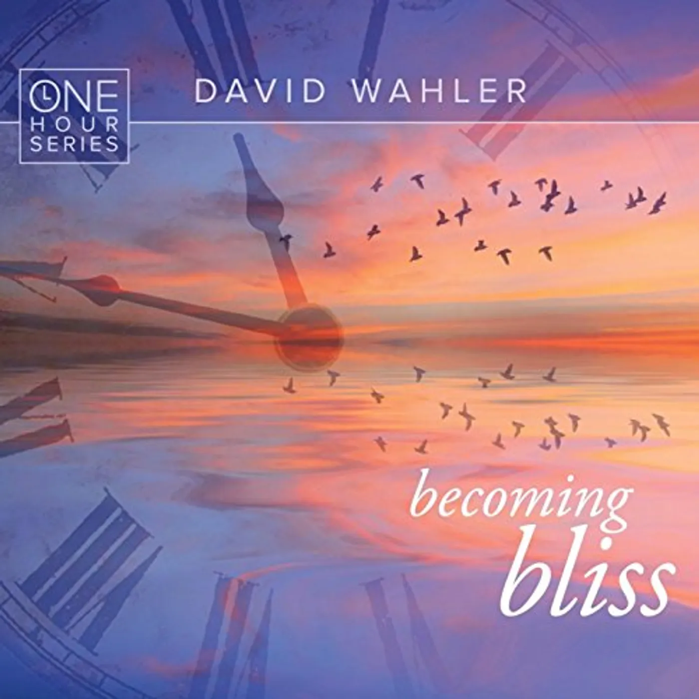 David Wahler BECOMING BLISS: ONE HOUR SERIES CD