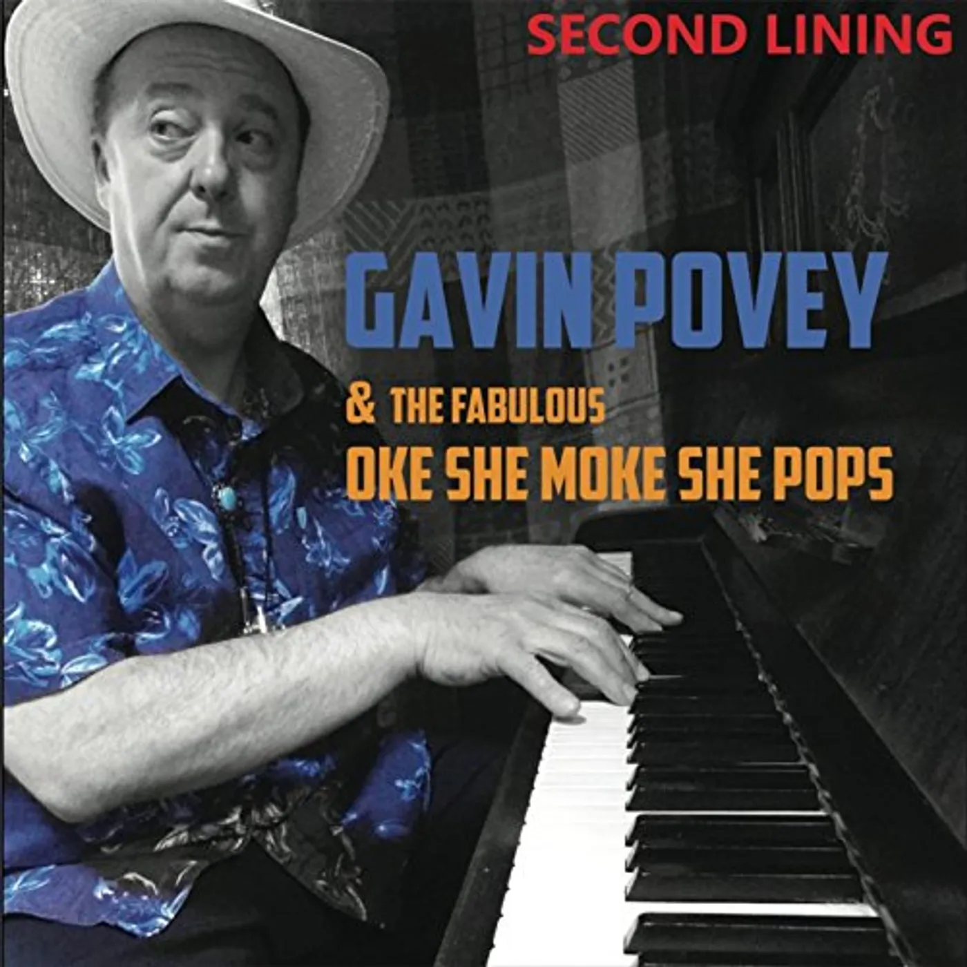 Gavin Povey SECOND LINING CD