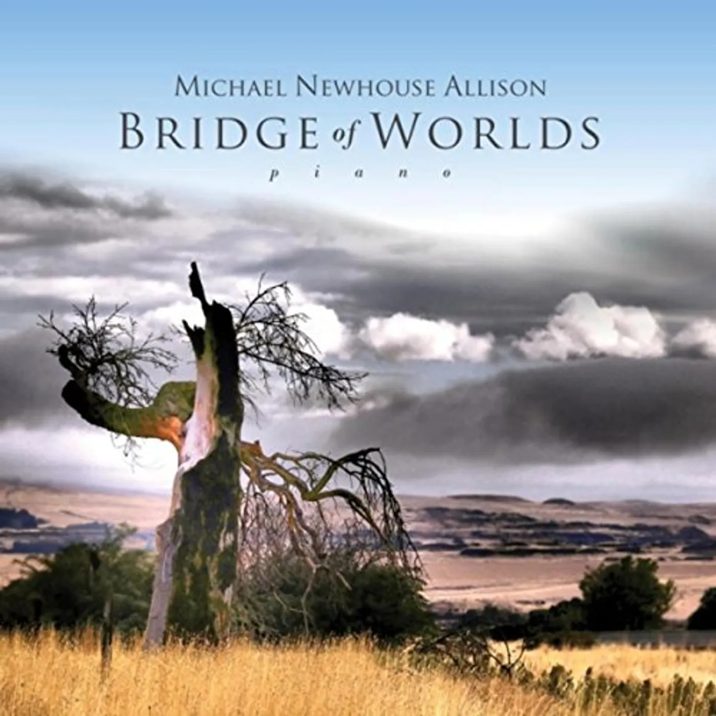 Michael Newhouse Allison BRIDGE OF WORLDS CD