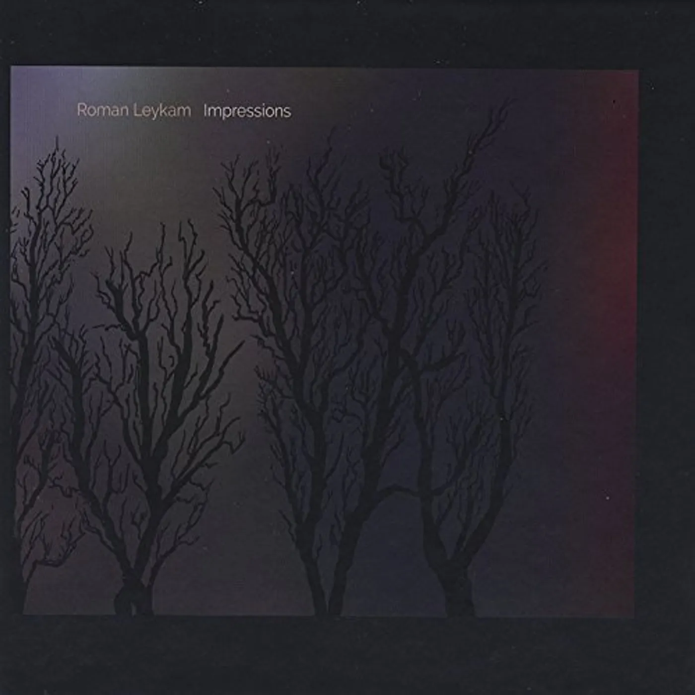 Roman Leykam IMPRESSIONS CD