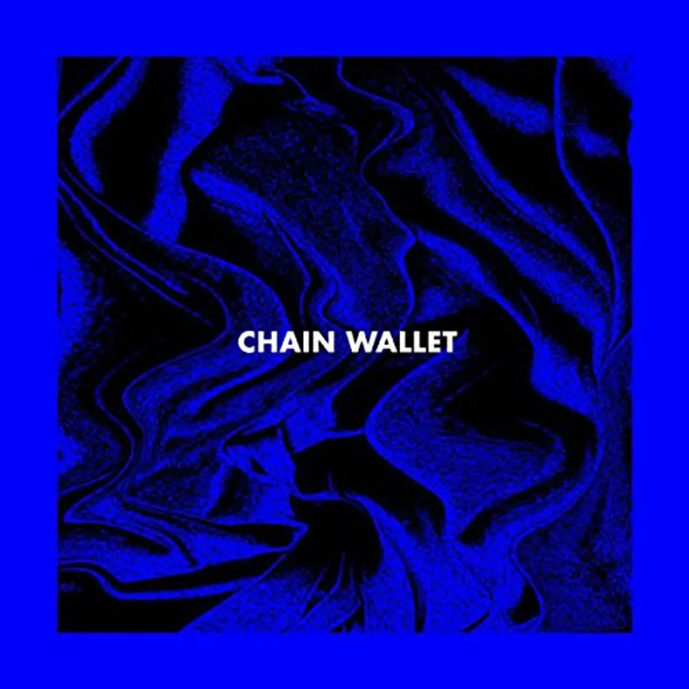 Chain Wallet Vinyl Record