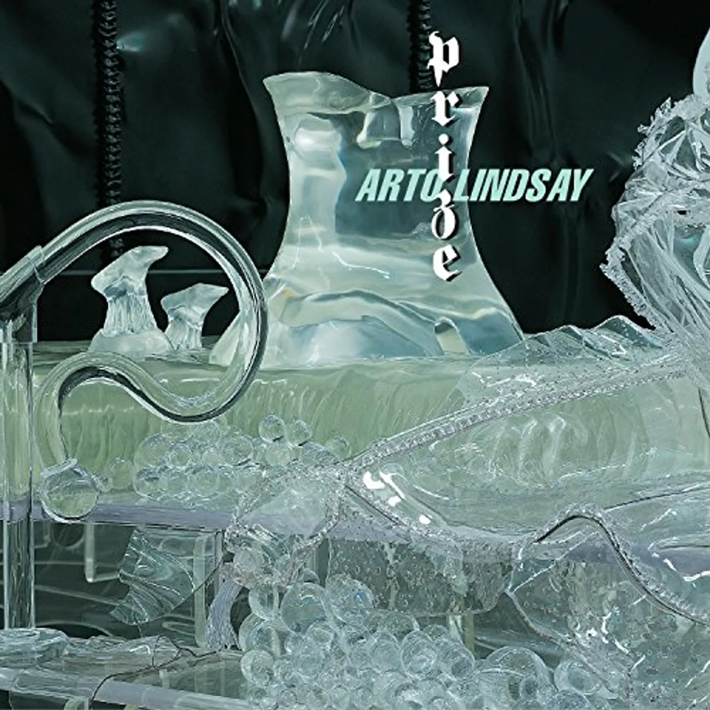 Arto Lindsay PRIZE CD