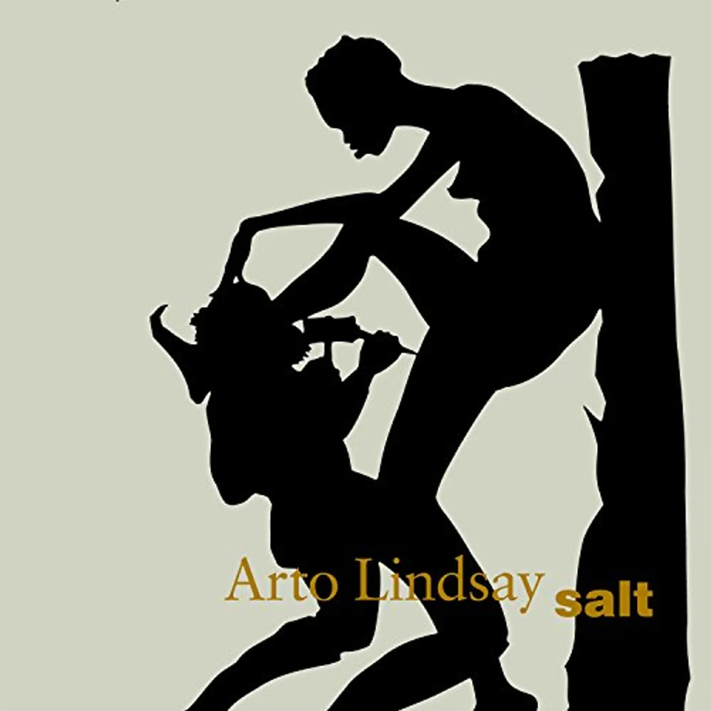 Arto Lindsay SALT PLUS TWO CD