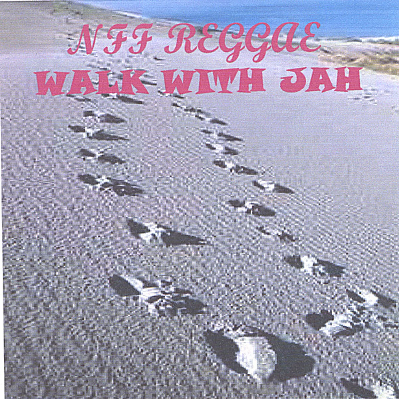 New Found Flavor WALK WITH JAH CD