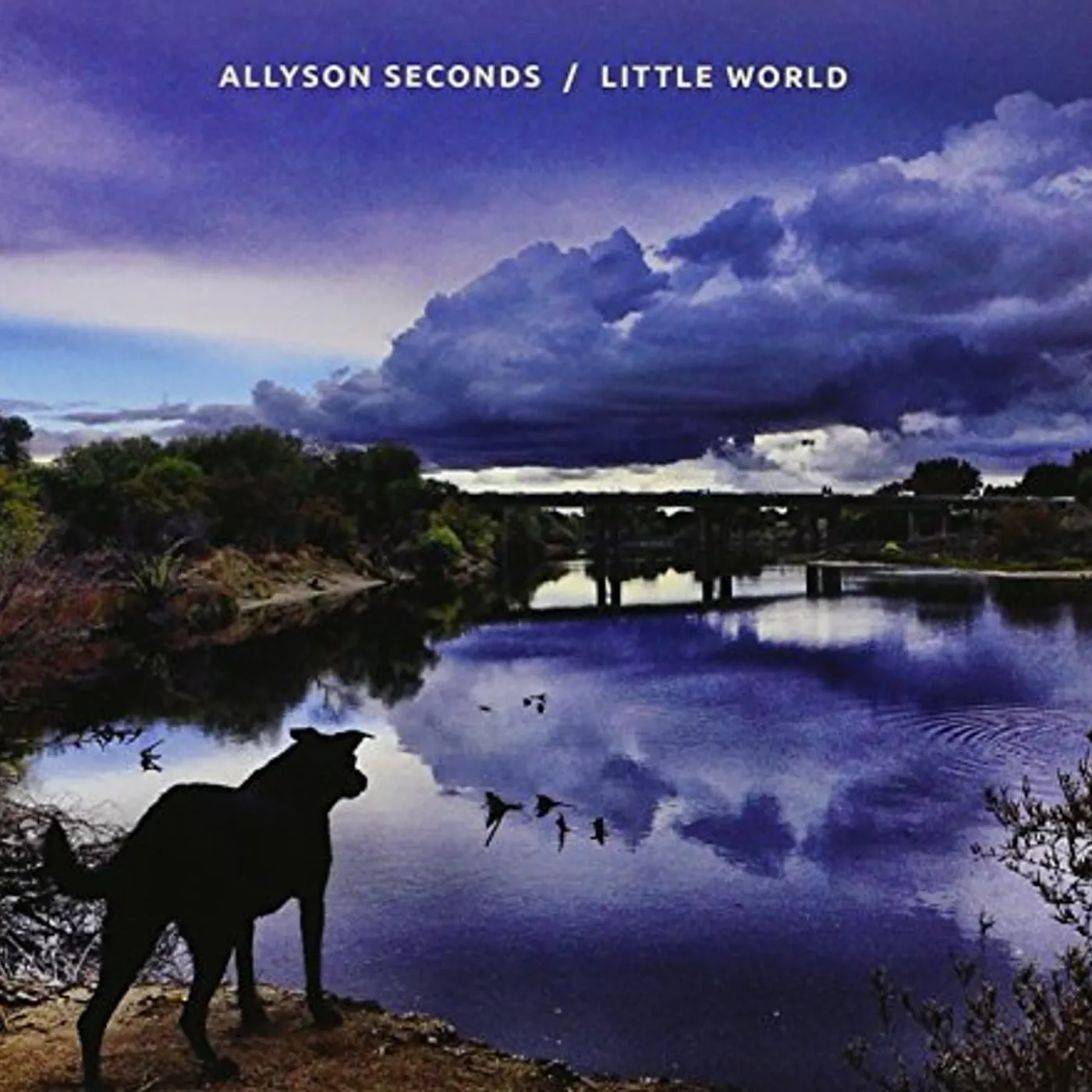 Allyson Seconds LITTLE WORLD CD