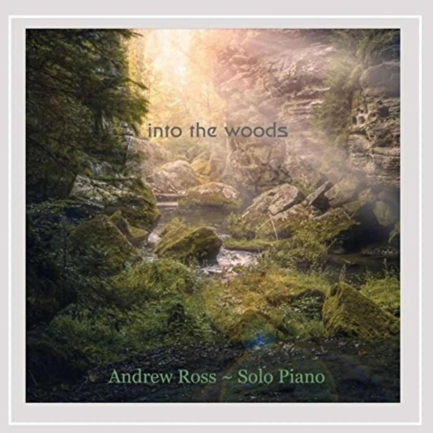 Andrew Ross INTO THE WOODS CD