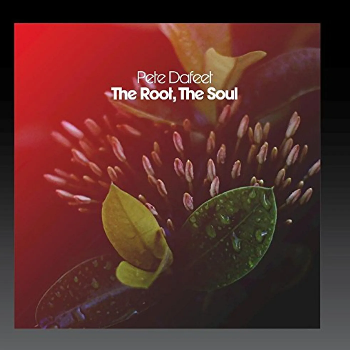 Pete Dafeet ROOT THE SOUL CD