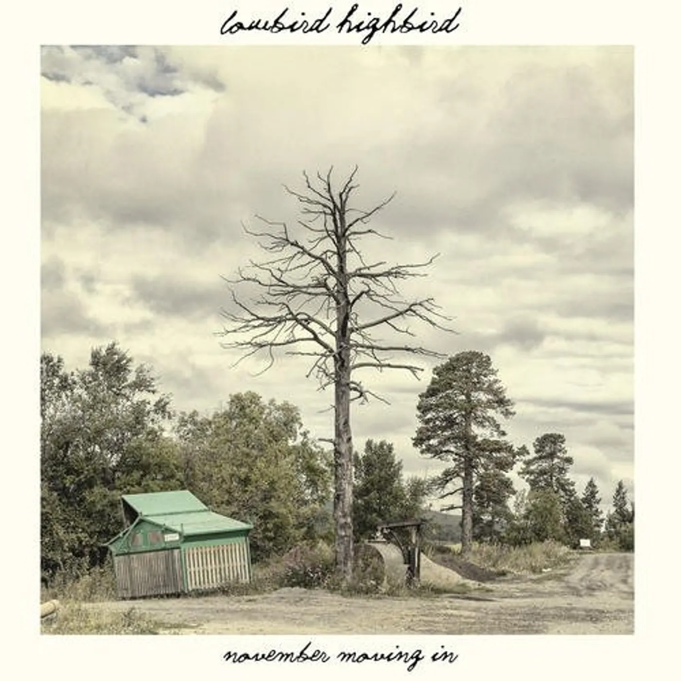 Lowbird Highbird NOVEMBER MOVING IN CD