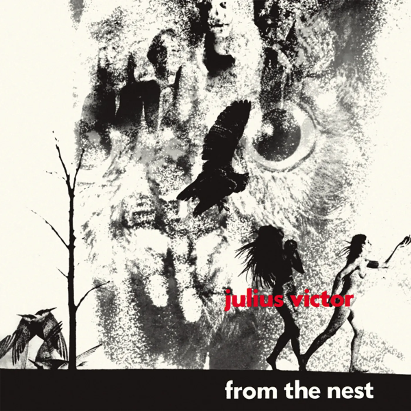Julius Victor From The Nest Vinyl Record