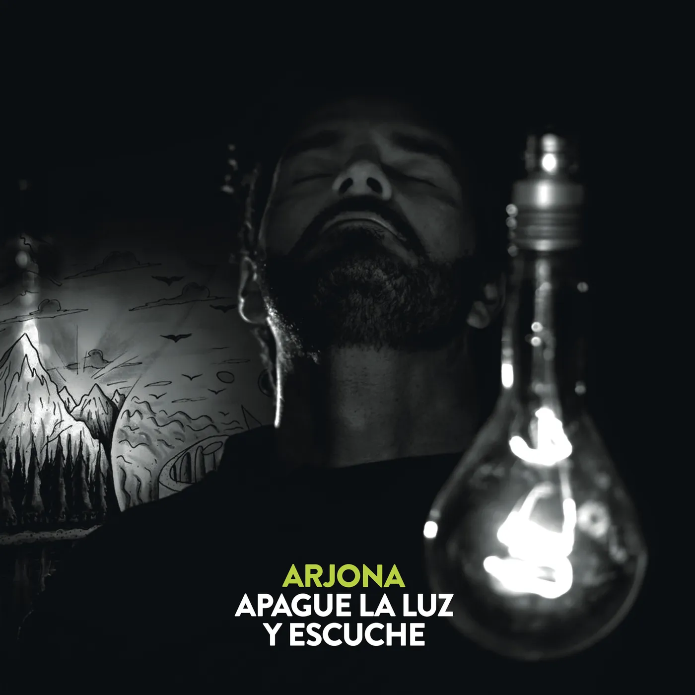Ricardo Arjona Apague la Luz y Escuche Vinyl Record