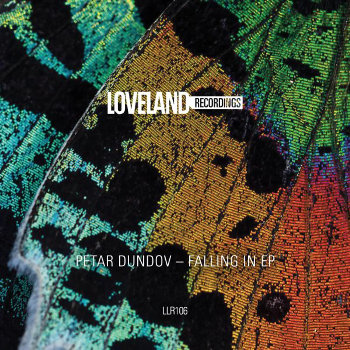Petar Dundov FALLING IN Vinyl Record