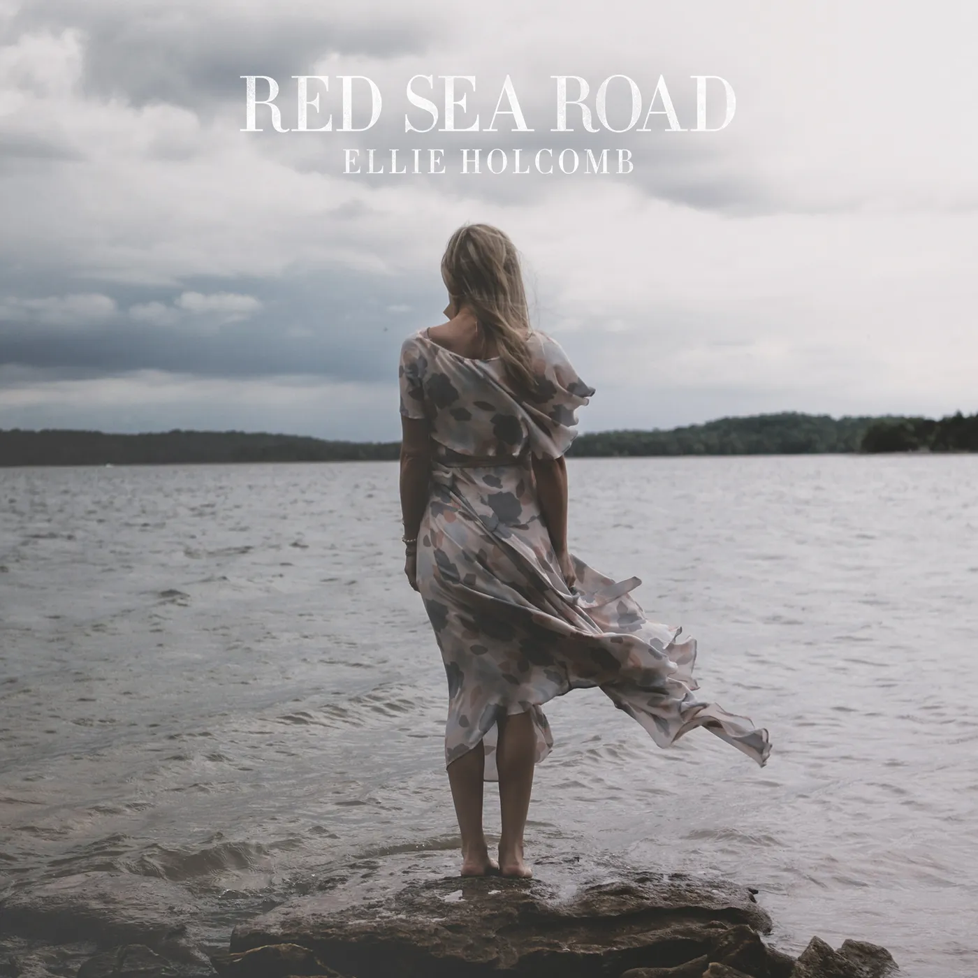Ellie Holcomb Red Sea Road Vinyl Record