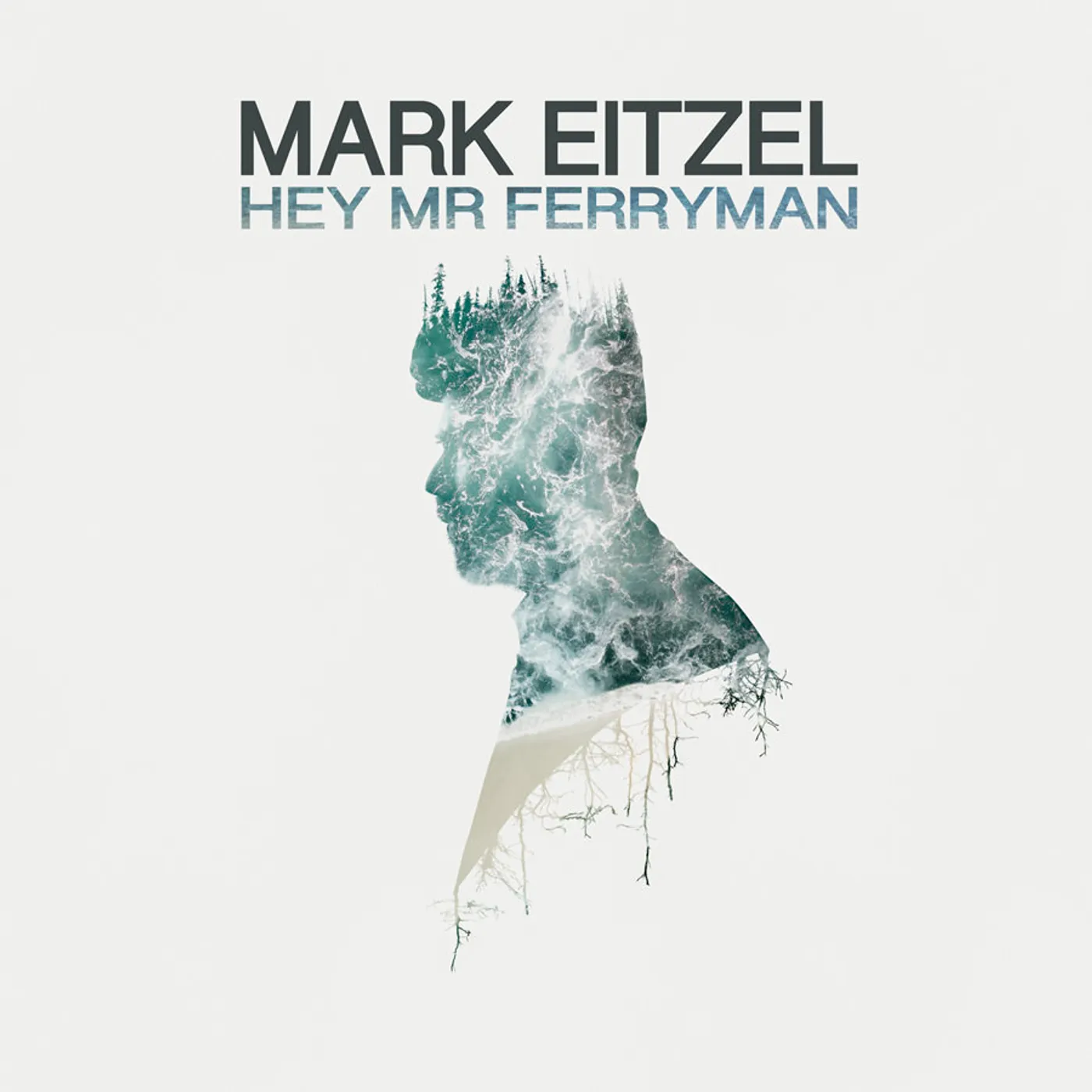 Mark Eitzel Hey Mr Ferryman Vinyl Record
