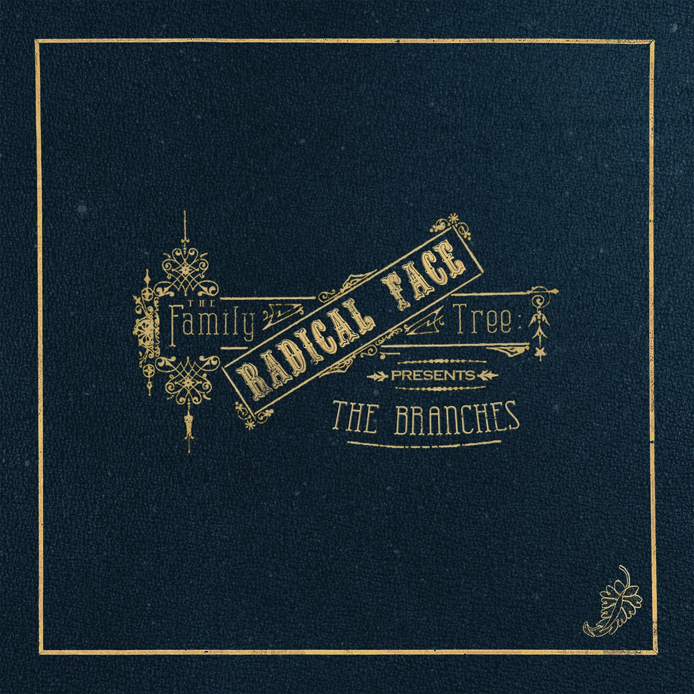 Radical Face FAMILY TREE: THE BRANCHES CD