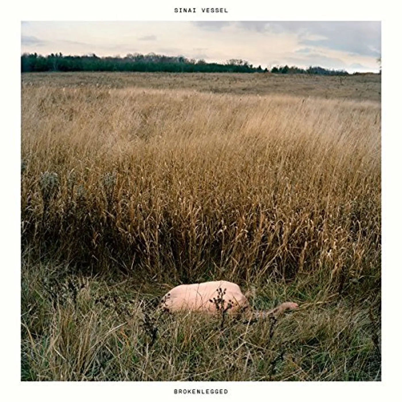 Sinai Vessel Brokenlegged Vinyl Record